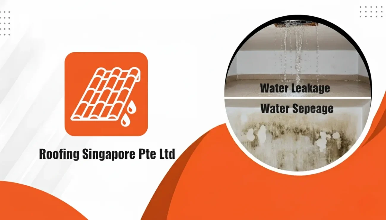 Difference between Water Leakage and Water Seepage