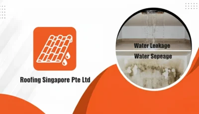 Difference between Water Leakage and Water Seepage