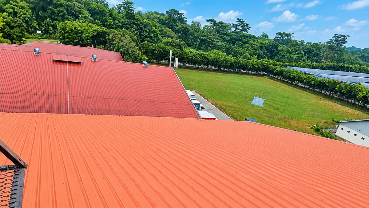 Metal roof After