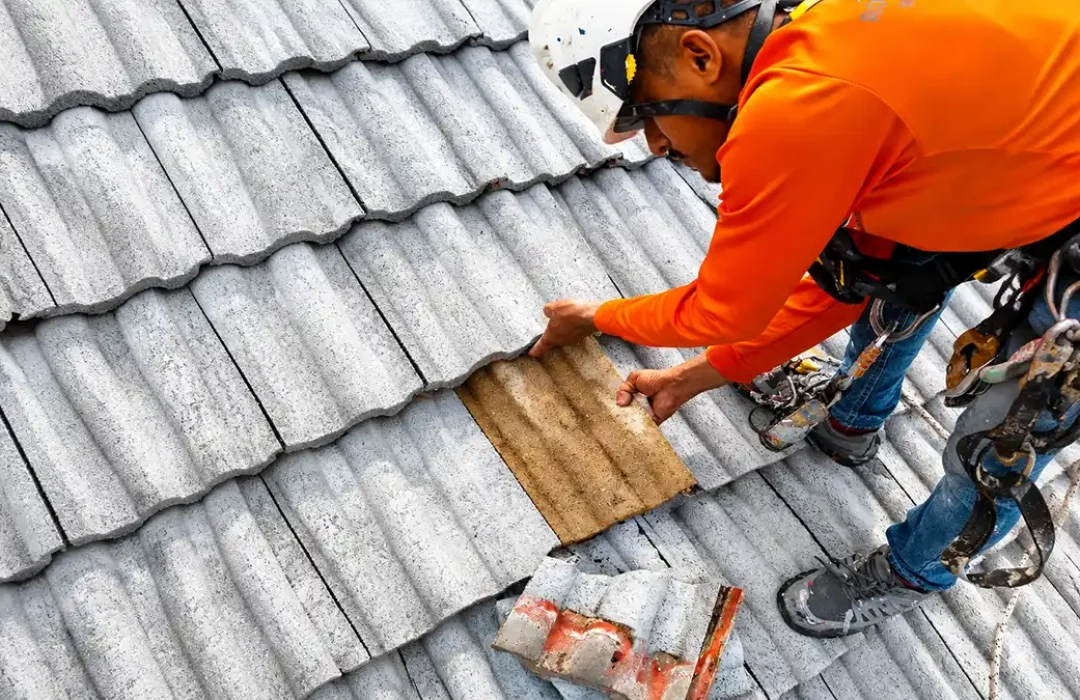 Roof Repair Project 6